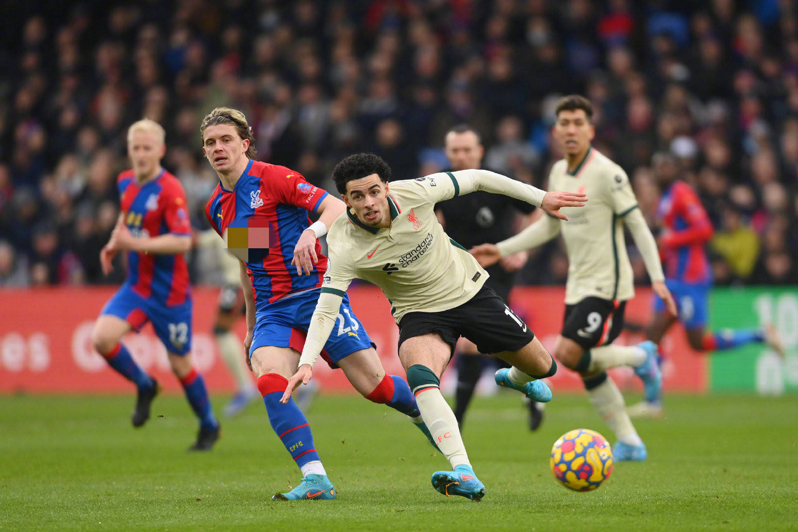 间接显示罗 间接显示罗