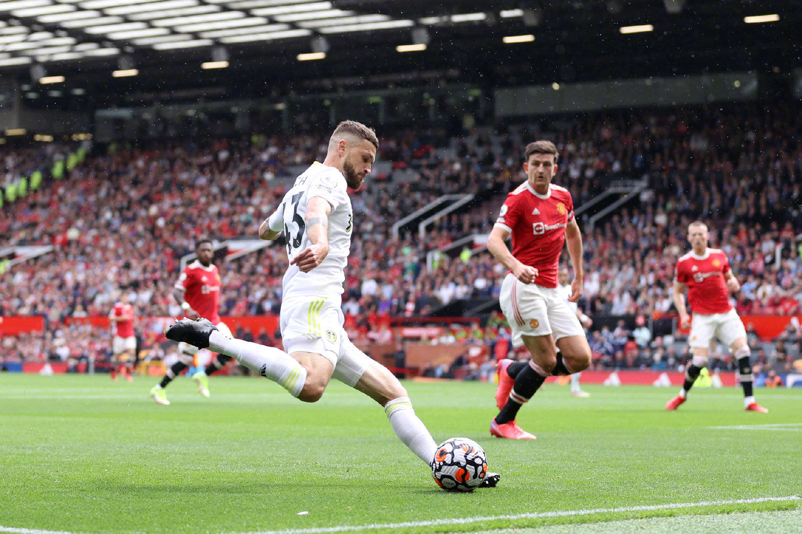 表现出的稳 表现出的稳